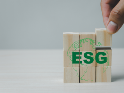 What's the difference between ESG and SDG?