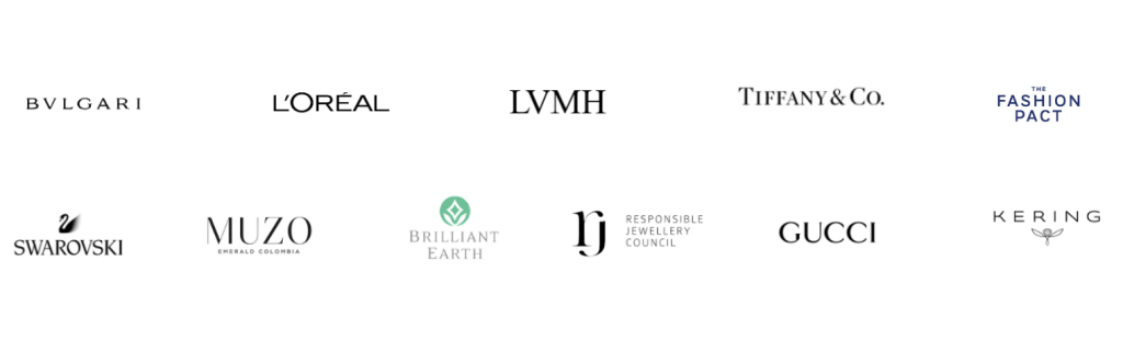 Sustainable Fashion Consulting