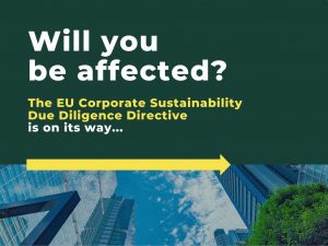 The EU Corporate Sustainability Due Diligence Directive